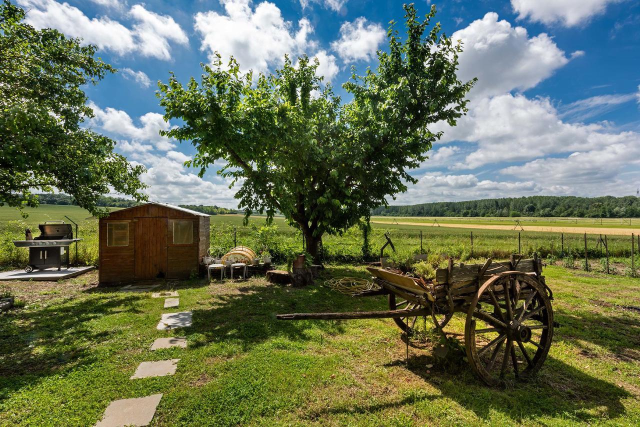 Domaine Du Bois Des Anges Bed & Breakfast Germigny-l'Eveque Exterior photo